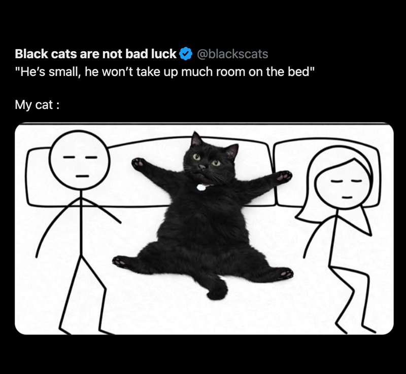 Black cats are not bad luck @blackscats "He's small, he won't take up much room on the bed" My cat :