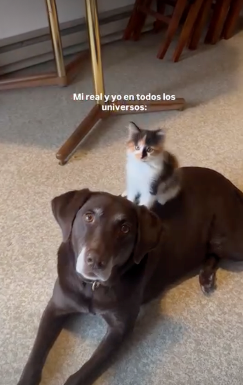 Mi real y yo en todos los universos: