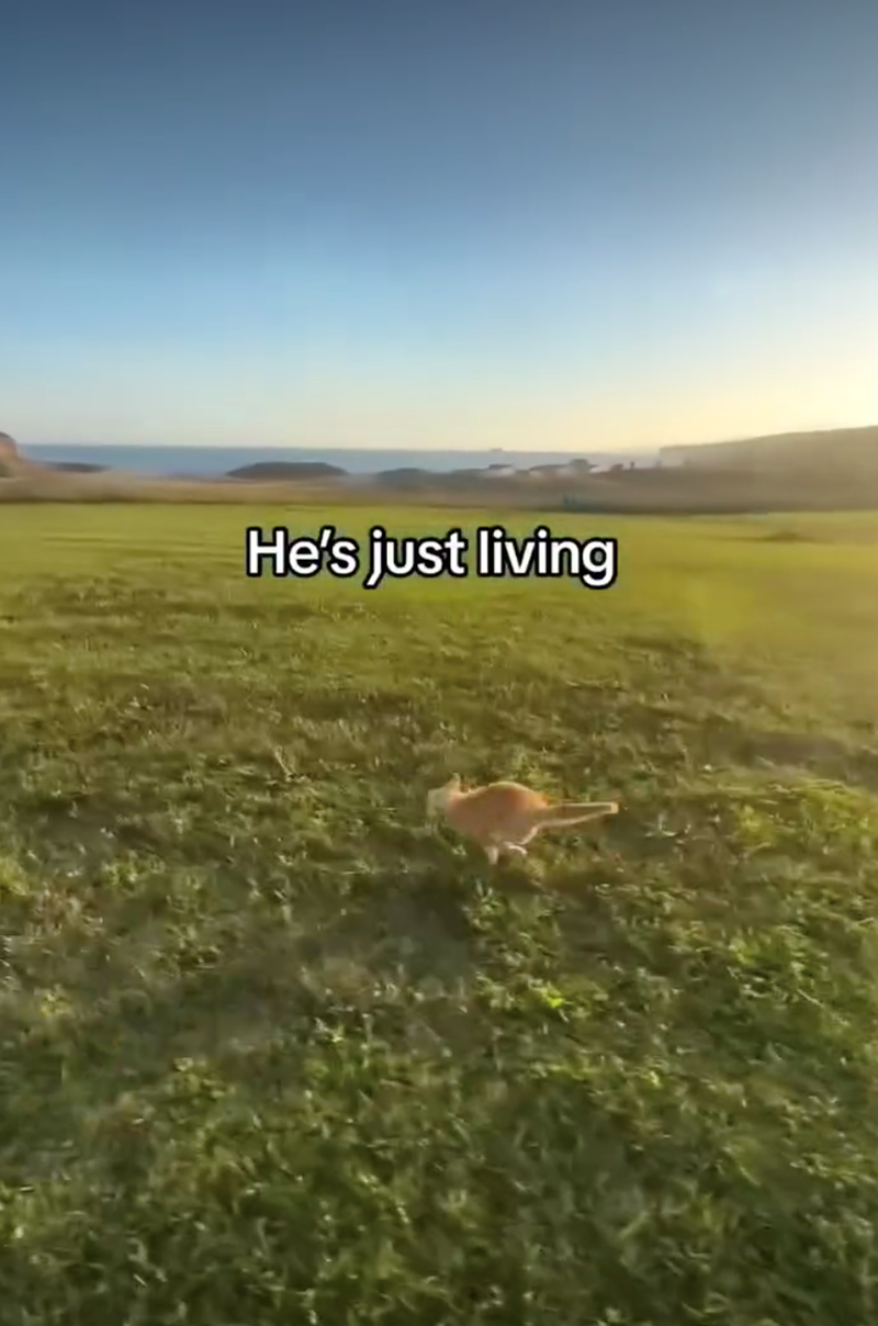 He's just living