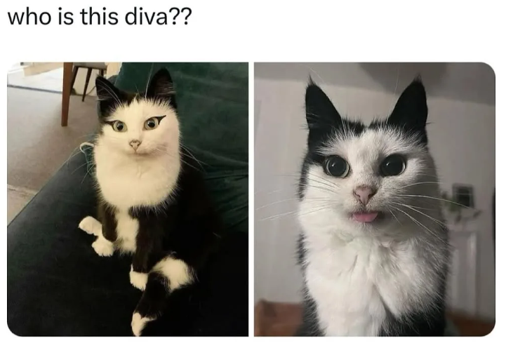 who is this diva??