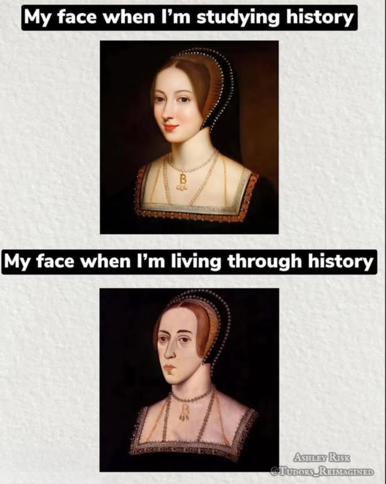 My face when I'm studying history My face when I'm living through history ASHLEY RISK TUDORS REIMAGINED