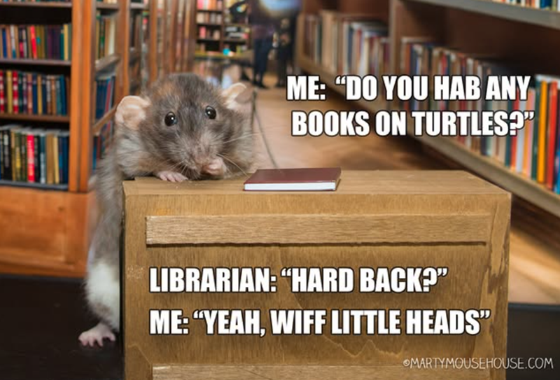 ME: "DO YOU HAB ANY BOOKS ON TURTLES?" LIBRARIAN: "HARD BACK?" ME: "YEAH, WIFF LITTLE HEADS' OMARTYMOUSEHOUSE.COM