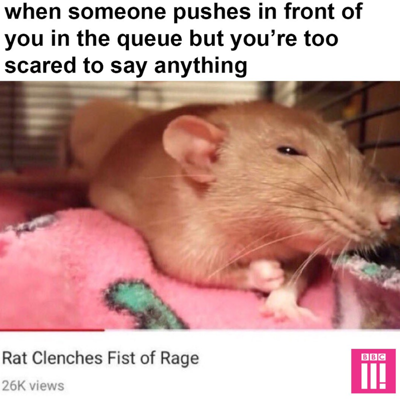 when someone pushes in front of you in the queue but you're too scared to say anything Rat Clenches Fist of Rage 26K views BBC II!