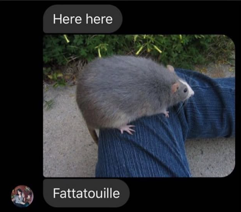 Here here Fattatouille