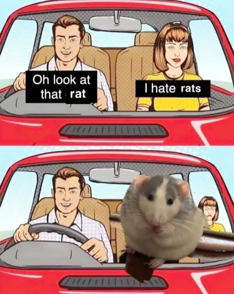 Oh look at that rat I hate rats