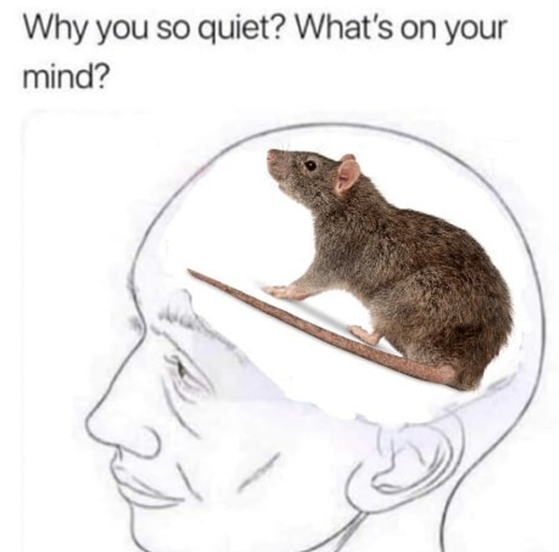 Why you so quiet? What's on your mind?