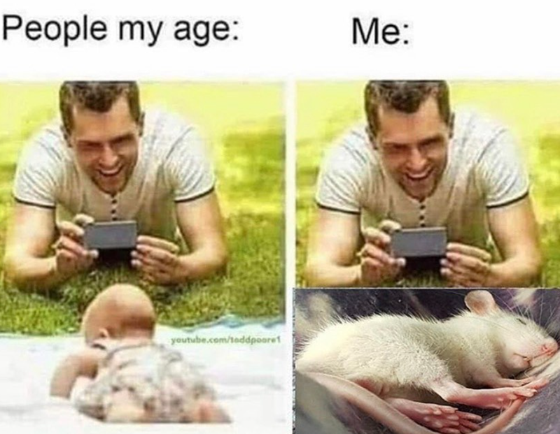 People my age: Me: youtube.com/toddpoore1