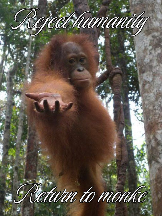 Rejecthumanity Return to monke