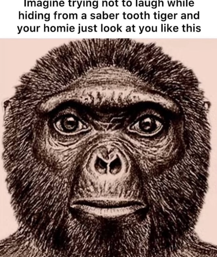 Imagine trying not to laugh while hiding from a saber tooth tiger and your homie just look at you like this