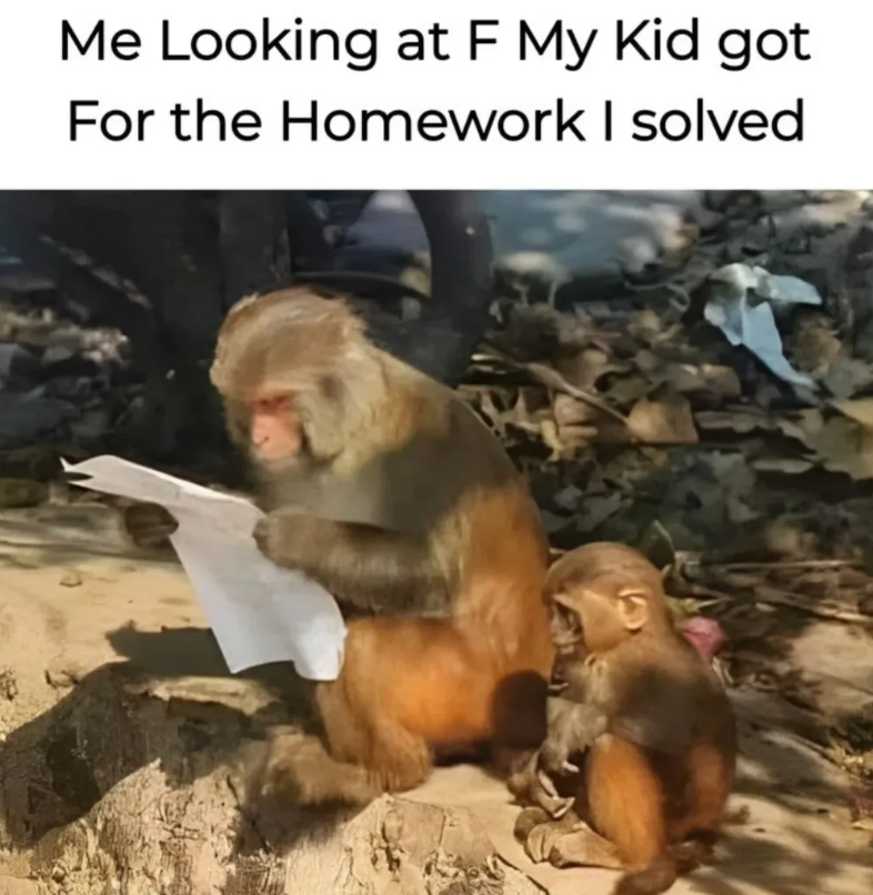 Me Looking at F My Kid got For the Homework I solved