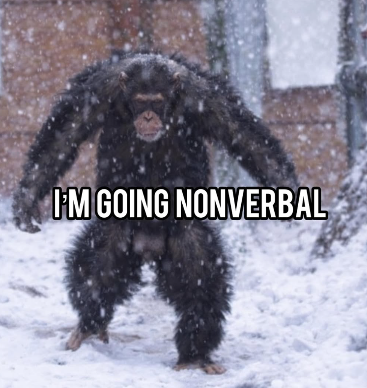 I'M GOING NONVERBAL