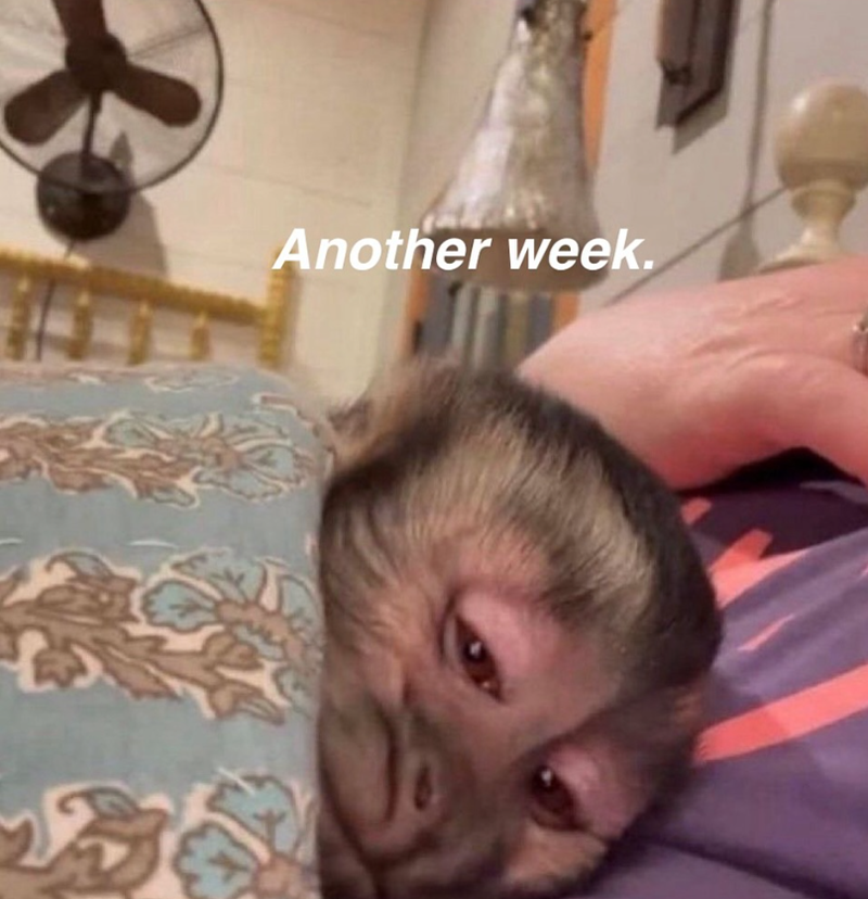 Another week.