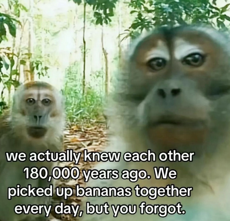 we actually knew each other 180,000 years ago. We picked up bananas together every day, but you forgot.