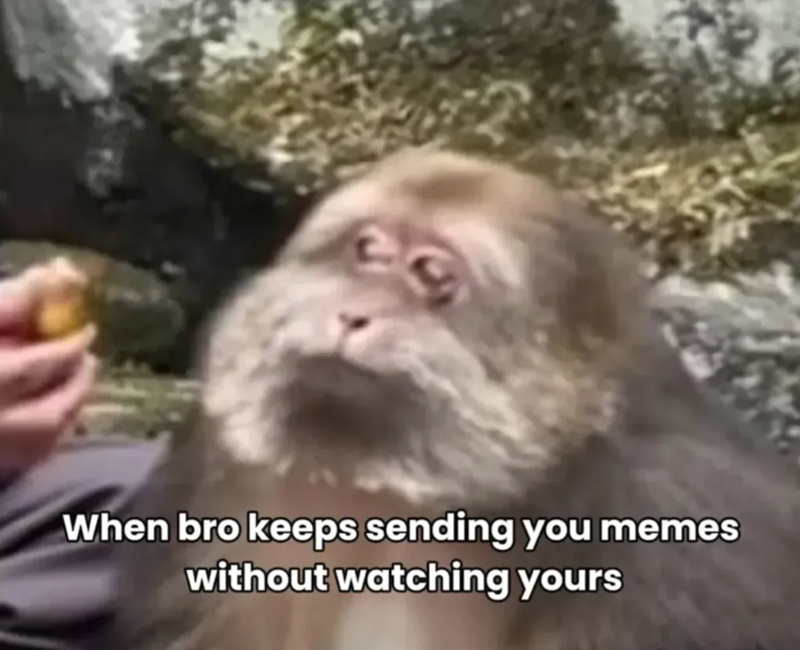 When bro keeps sending you memes without watching yours