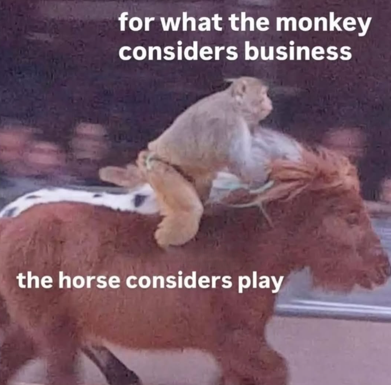for what the monkey considers business the horse considers play