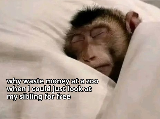 why waste money at a zoo when i could just look at my sibling for free
