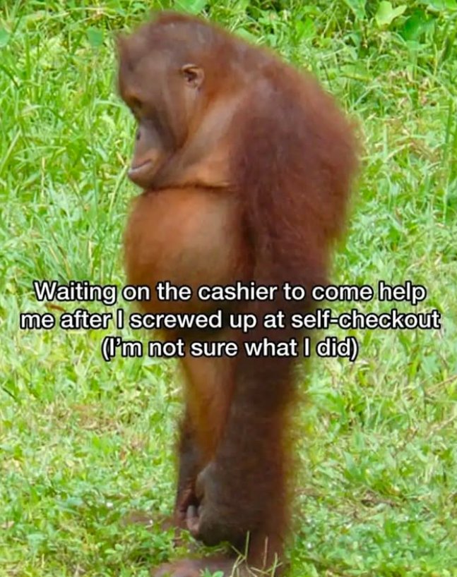 Waiting on the cashier to come help me after I screwed up at self-checkout (I'm not sure what I did)
