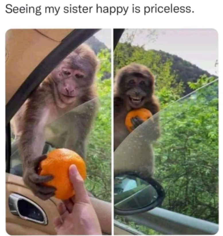 Seeing my sister happy is priceless.