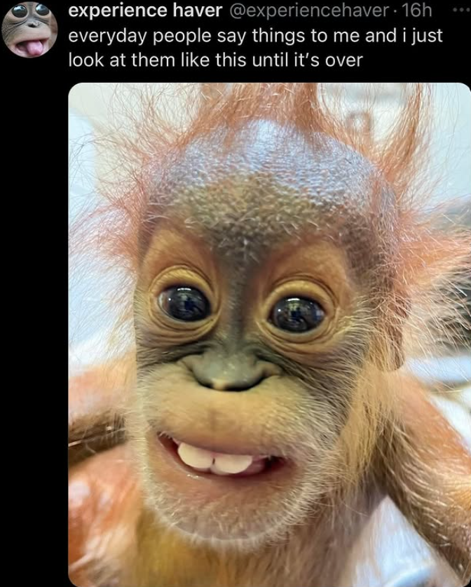experience haver @experiencehaver. 16h everyday people say things to me and i just look at them like this until it's over