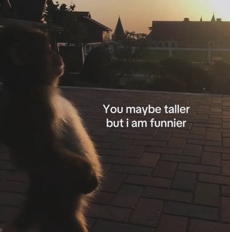 You maybe taller but i am funnier