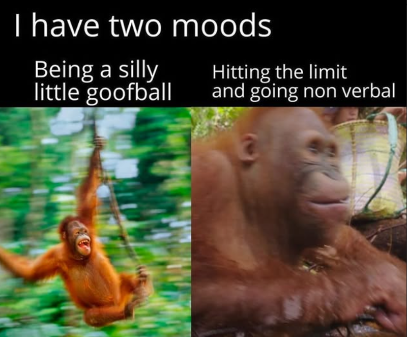 I have two moods Being a silly little goofball Hitting the limit and going non verbal 7