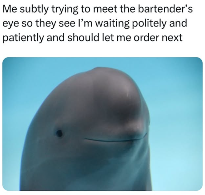 Me subtly trying to meet the bartender's eye so they see I'm waiting politely and patiently and should let me order next