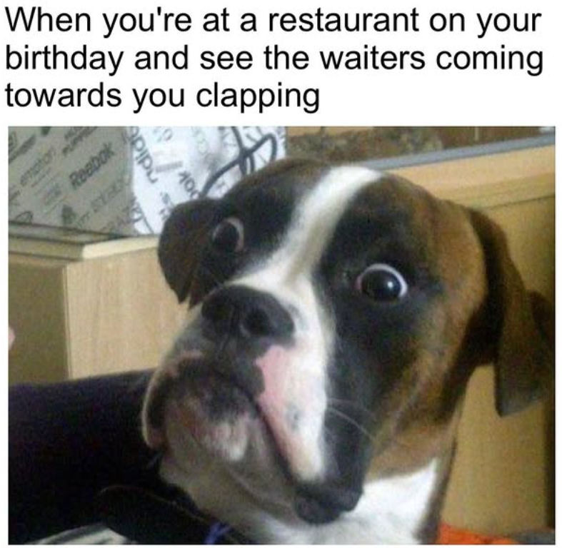 When you're at a restaurant on your birthday and see the waiters coming towards you clapping Reebok sndid 100