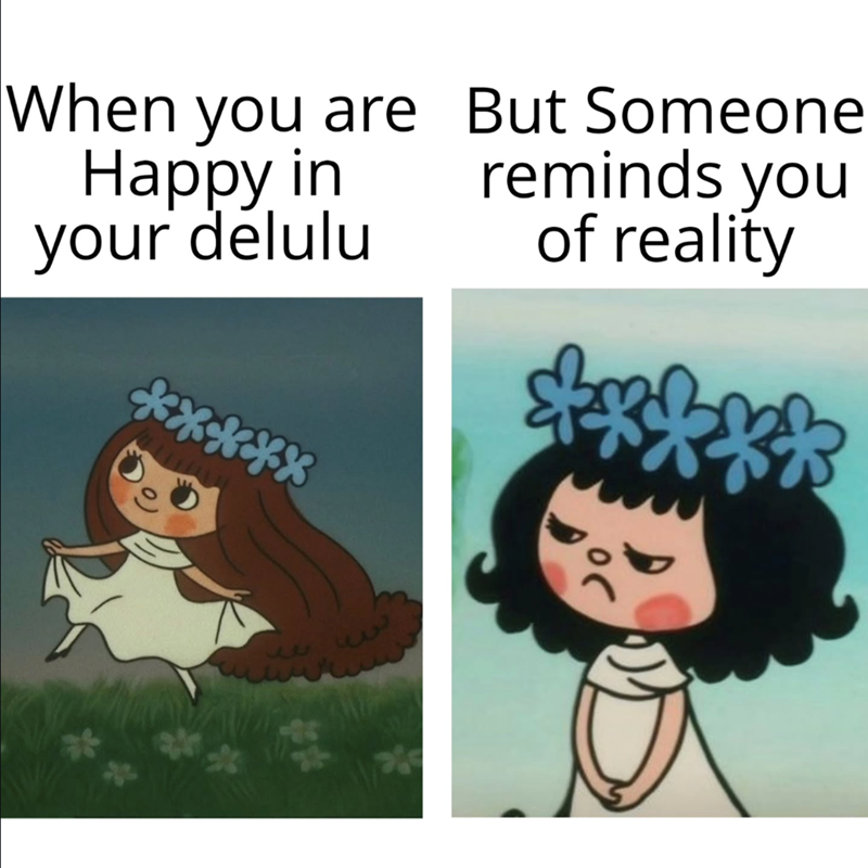 When you are Happy in your delulu But Someone reminds you of reality