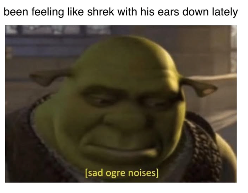 been feeling like shrek with his ears down lately [sad ogre noises]