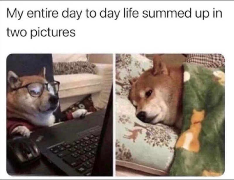 My entire day to day life summed up in two pictures