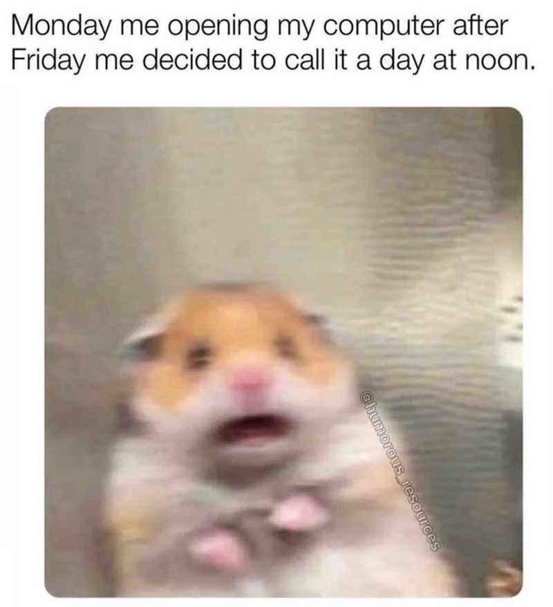 Monday me opening my computer after Friday me decided to call it a day at noon. @humorous resources