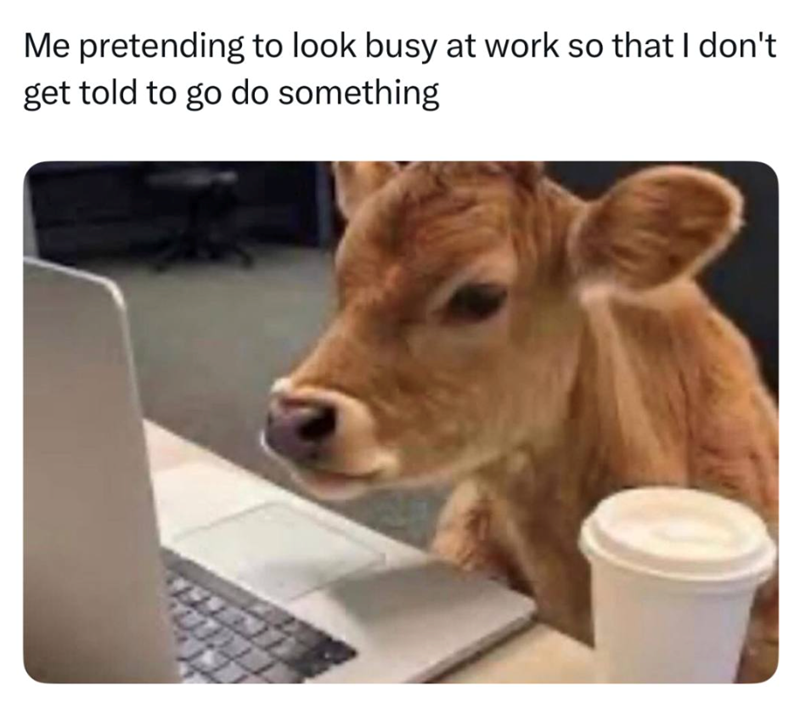 Me pretending to look busy at work so that I don't get told to go do something