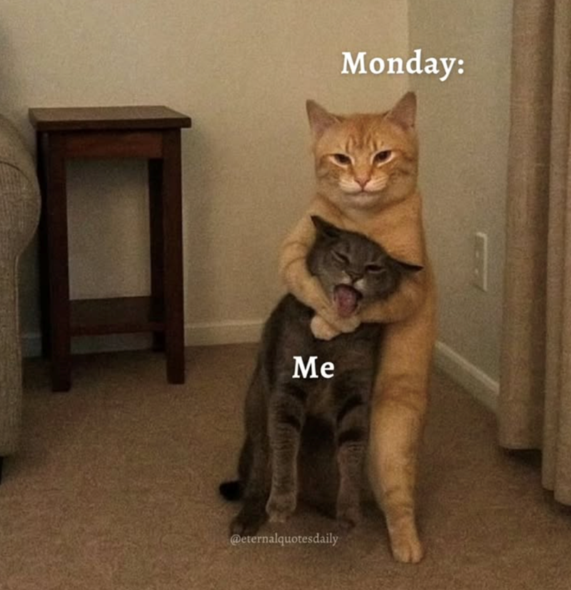 Me @eternalquotesdaily Monday: