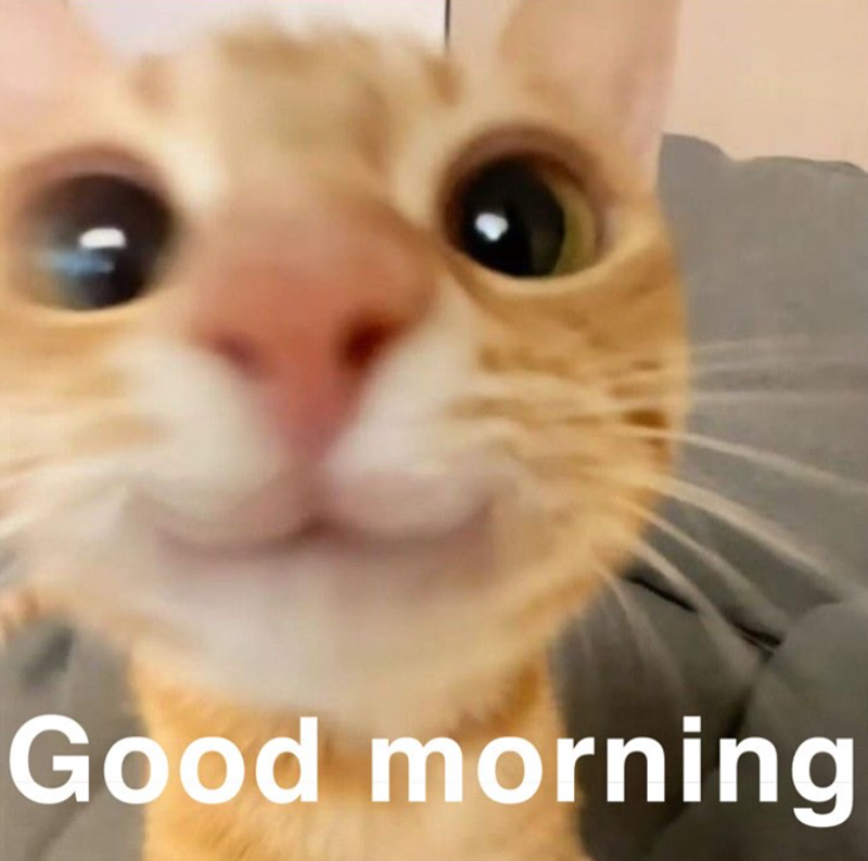Good morning