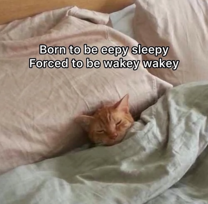 Born to be eepy sleepy Forced to be wakey wakey