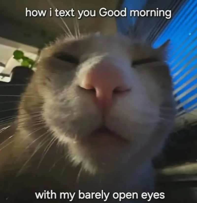 how i text you Good morning with my barely open eyes