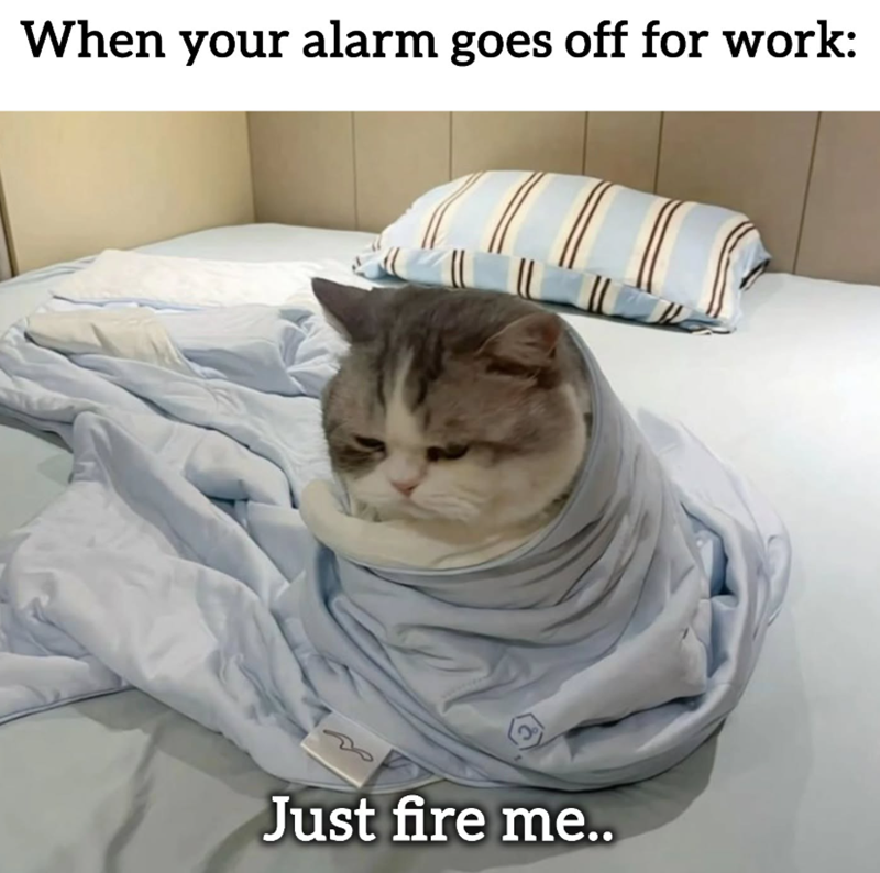 When your alarm goes off for work: Just fire me..