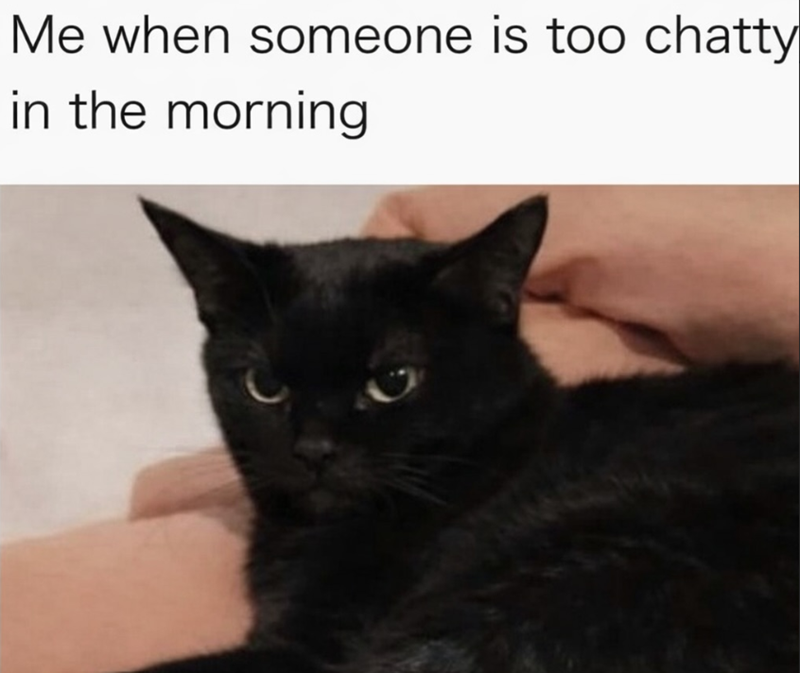 Me when someone is too chatty in the morning