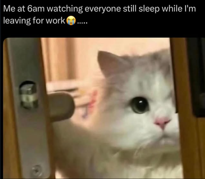 Me at 6am watching everyone still sleep while I'm leaving for work