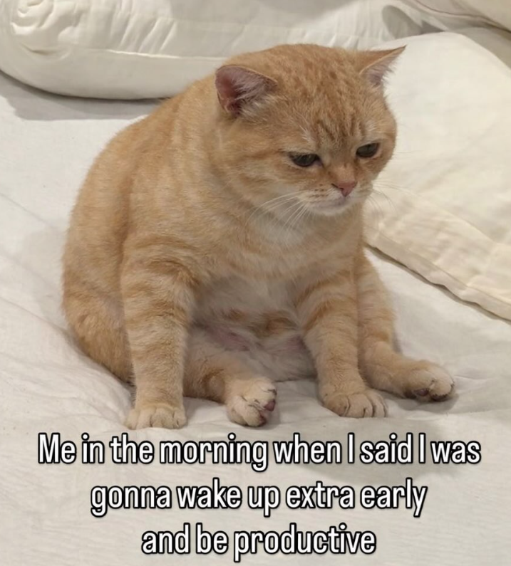 Me in the morning when I said I was gonna wake up extra early and be productive