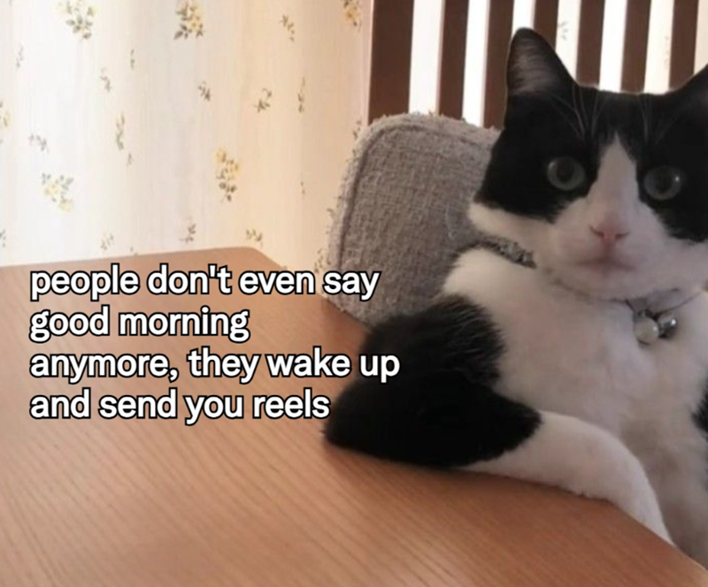 people don't even say good morning anymore, they wake up and send you reels