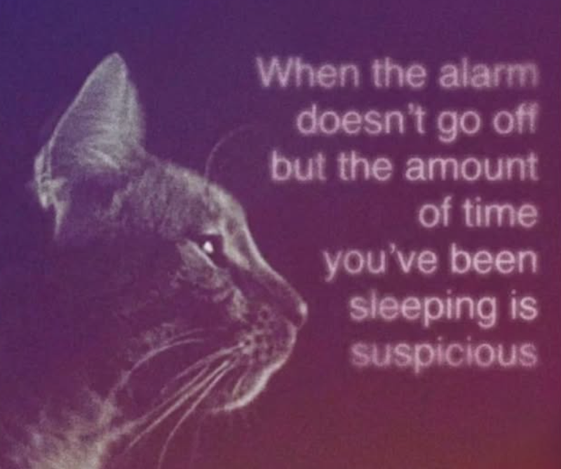When the alarm doesn't go off but the amount of time you've been sleeping is suspicious