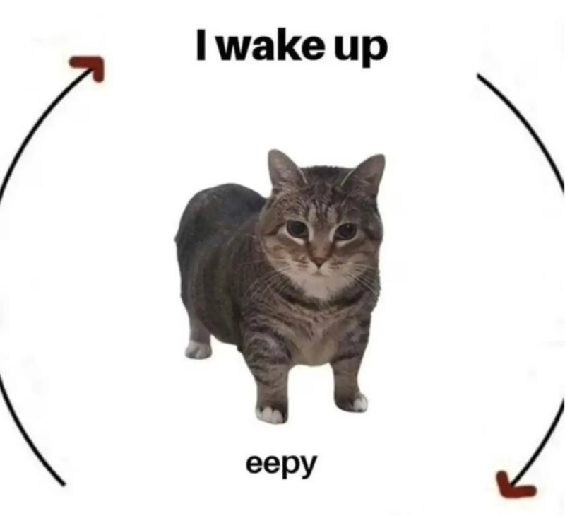 I wake up eepy