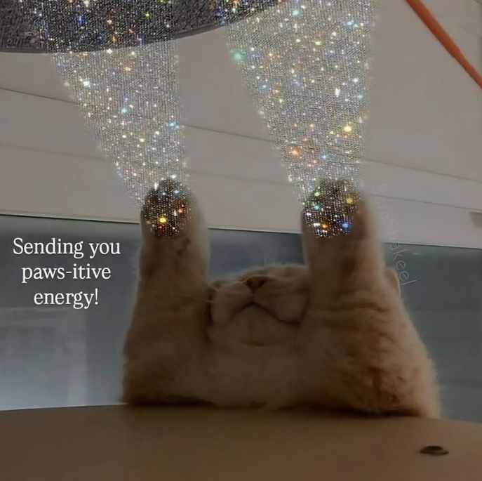 Sending you paws-itive energy! SaraShakeel