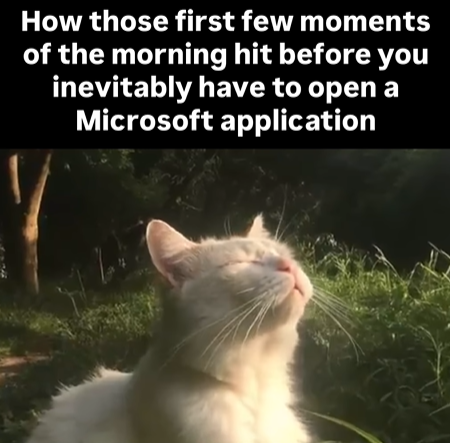 How those first few moments of the morning hit before you inevitably have to open a Microsoft application