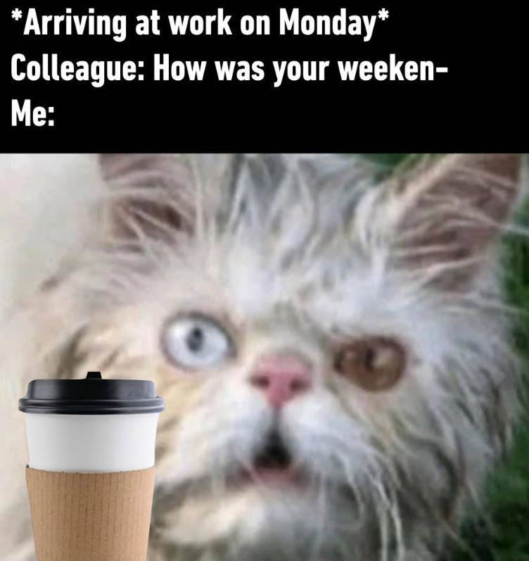 *Arriving at work on Monday* Colleague: How was your weeken- Me:
