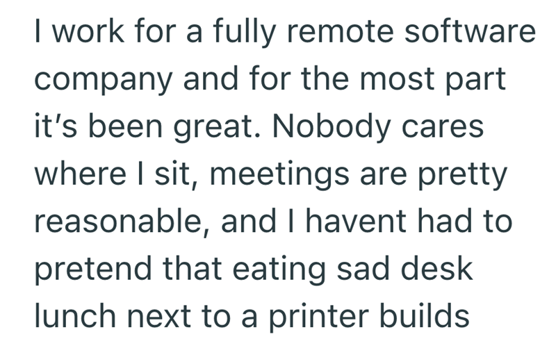 I work for a fully remote software company and for the most part it's been great. Nobody cares where I sit, meetings are pretty reasonable, and I havent had to pretend that eating sad desk lunch next to a printer builds