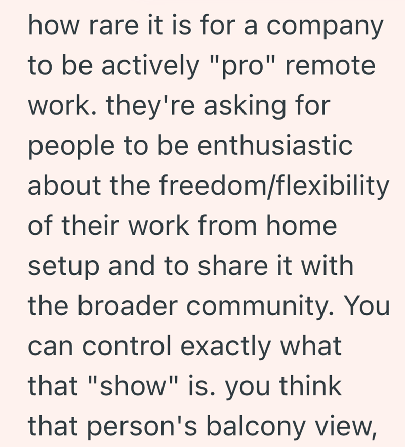 how rare it is for a company to be actively "pro" remote work. they're asking for people to be enthusiastic about the freedom/flexibility of their work from home setup and to share it with the broader community. You can control exactly what that "show" is. you think that person's balcony view,