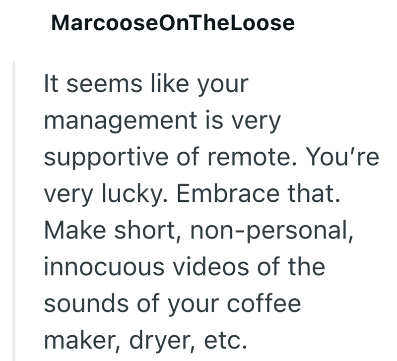 MarcooseOnTheLoose It seems like your management is very supportive of remote. You're very lucky. Embrace that. Make short, non-personal, innocuous videos of the sounds of your coffee maker, dryer, etc.