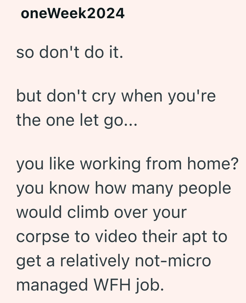 oneWeek2024 so don't do it. but don't cry when you're the one let go... you like working from home? you know how many people. would climb over your corpse to video their apt to get a relatively not-micro managed WFH job.